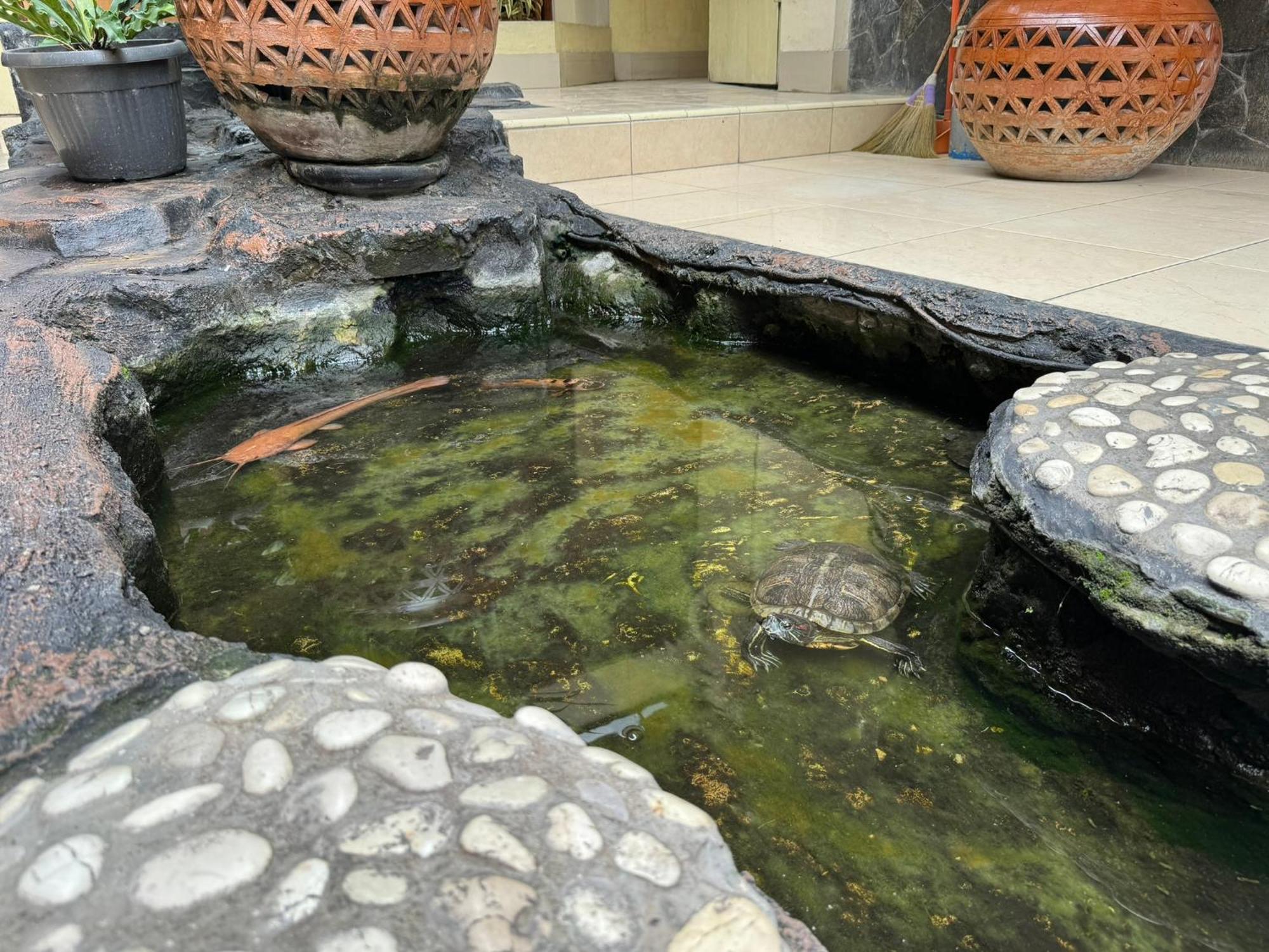 Hotel Priangan Cirebon Buitenkant foto