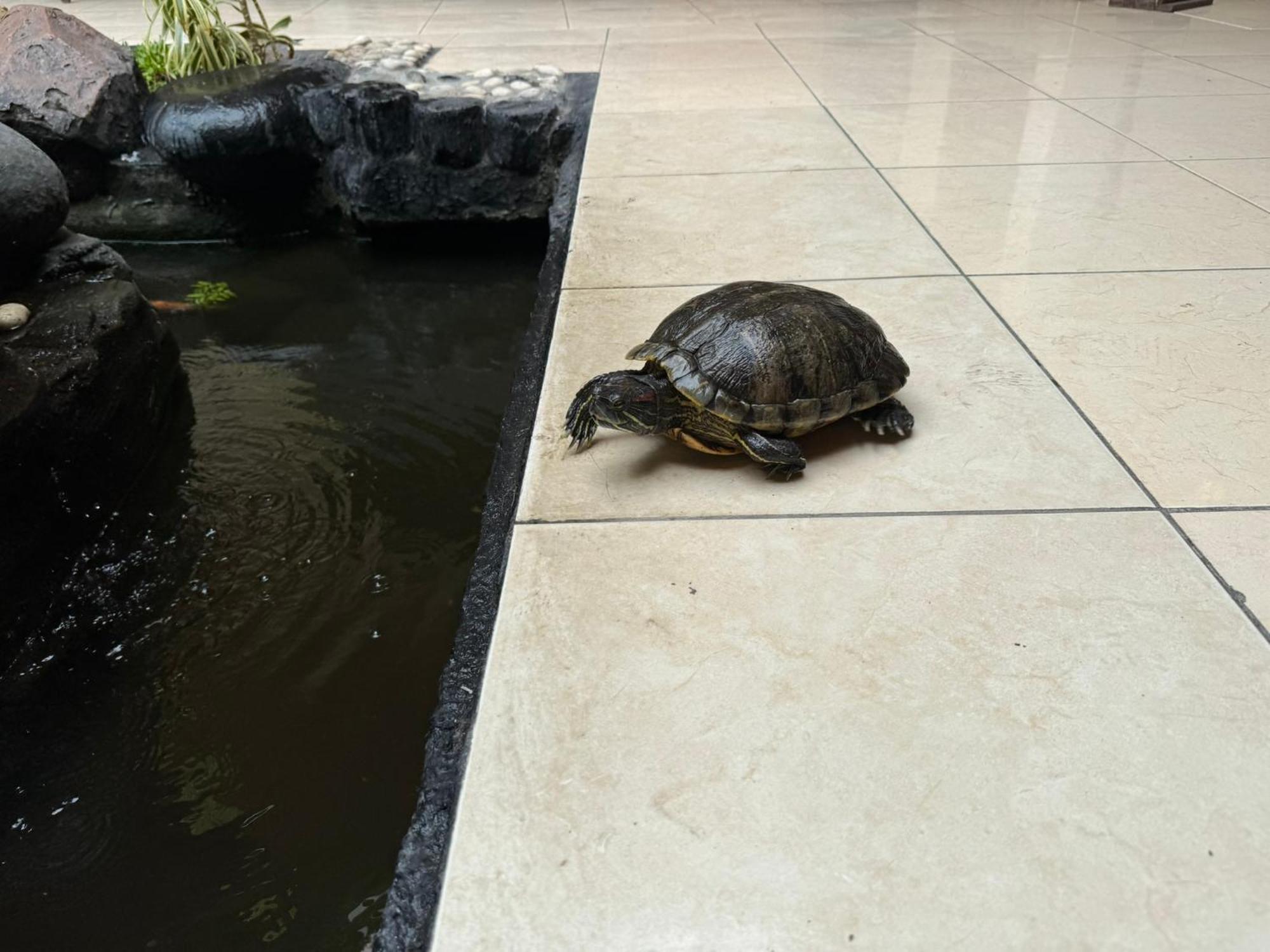 Hotel Priangan Cirebon Buitenkant foto